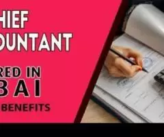 Chief Accountant Required in Dubai