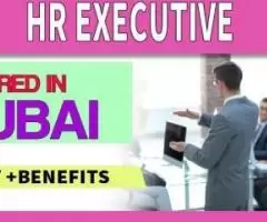 HR Executive Required in Dubai