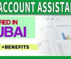 Account Assistant Required in Dubai