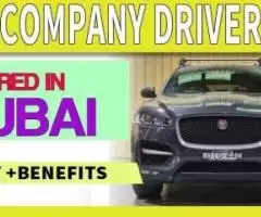 Company Driver Required in Dubai