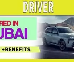 Driver Required in Dubai