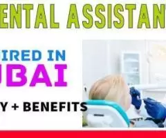 Dental Assistant Required in Dubai