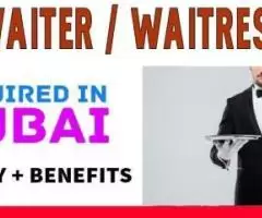 Waiter / Waitress Required in Dubai