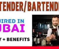 Bartender/Bartendress Required in Dubai