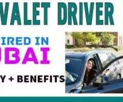 Valet Driver Required in Dubai