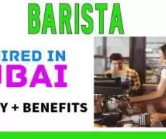 Barista Required in Dubai