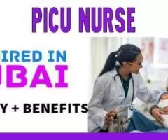 PICU Nurse Required in Dubai