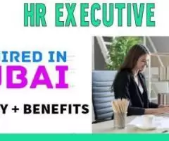 Human Resources Executive Required in Dubai