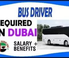 Bus Driver Required in Dubai