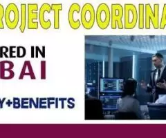 IT Project Coordinator Required in Dubai