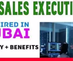 IT Sales Executive Required in Dubai