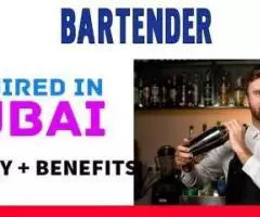 Bartender Required in Dubai