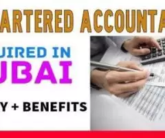 Chartered Accountant Required in Dubai