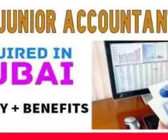 Junior Accountant Required in Dubai