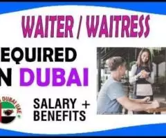 Waiter / Waitress Required in Dubai