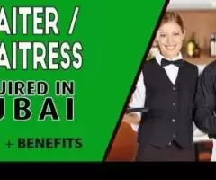 Waiter / Waitress Required in Dubai