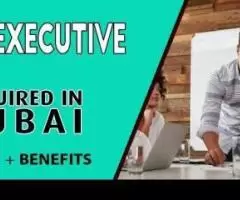 Human Resources Executive Required in Dubai