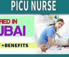 PICU Nurse Required in Dubai