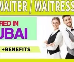 Waiter / Waitress Required in Dubai