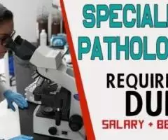 Specialist Pathologist Required in Dubai