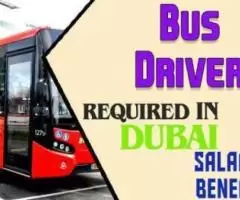 Bus Driver Required in Dubai