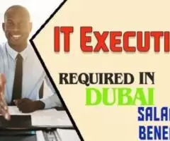 IT Executive Required in Dubai