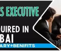 Sales Executive Required in Dubai