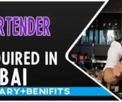 Bartender Required in Dubai