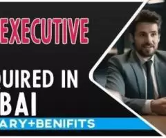 Human Resources Executive Required in Dubai