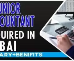 Junior Accountant Required in Dubai