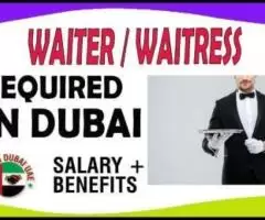 Waiter / Waitress Required in Dubai