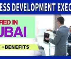 Business Development Executive Required in Dubai