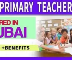 Primary Teachers Required in Dubai