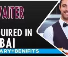 Waiter Required in Dubai