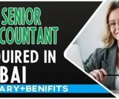 Senior Accountant Required in Dubai