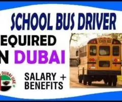 School Bus Driver Required in Dubai