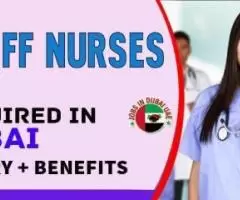 Staff Nurses Required in Dubai