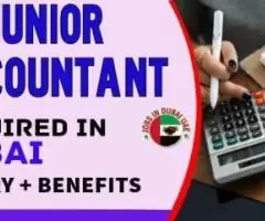 Junior Accountant Required in Dubai