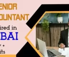 Senior Accountant Required in Dubai