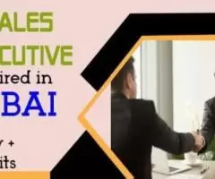 Sales Executive Required in Dubai