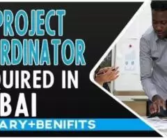 Project Coordinator Required in Dubai