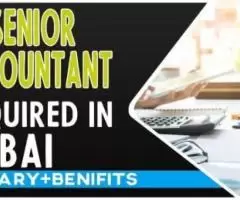 Senior Accountant Required in Dubai