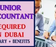 Junior Accountant Required in Dubai