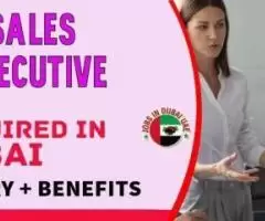 Sales Executive Required in Dubai