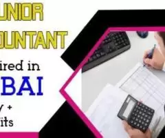 Junior Accountant Required in Dubai