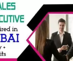 Sales Executive Required in Dubai