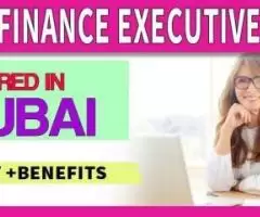 Finance Executive Required in Dubai