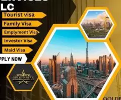 Visa Service in Dubai +971504584059