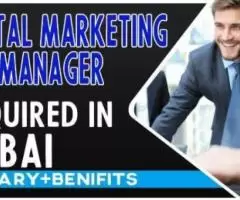 Digital Marketing Manager Required on Dubai