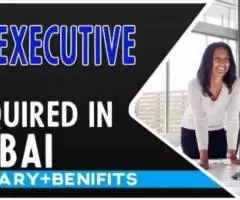 HR Executive Required in Dubai